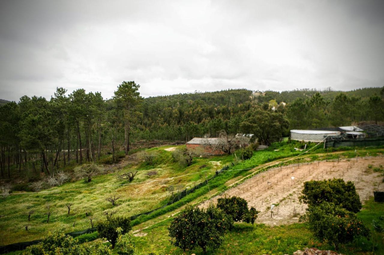 Quintinha Do Outeirinho Bed & Breakfast Soure Exterior photo